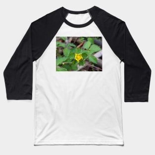 Wild Strawberry Bloom 2 Baseball T-Shirt